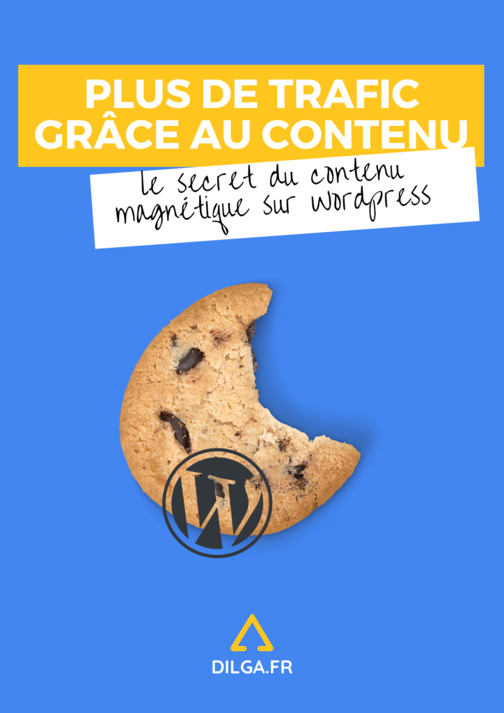 Ebooks SEO 3 Contenu SEO sur WordPress