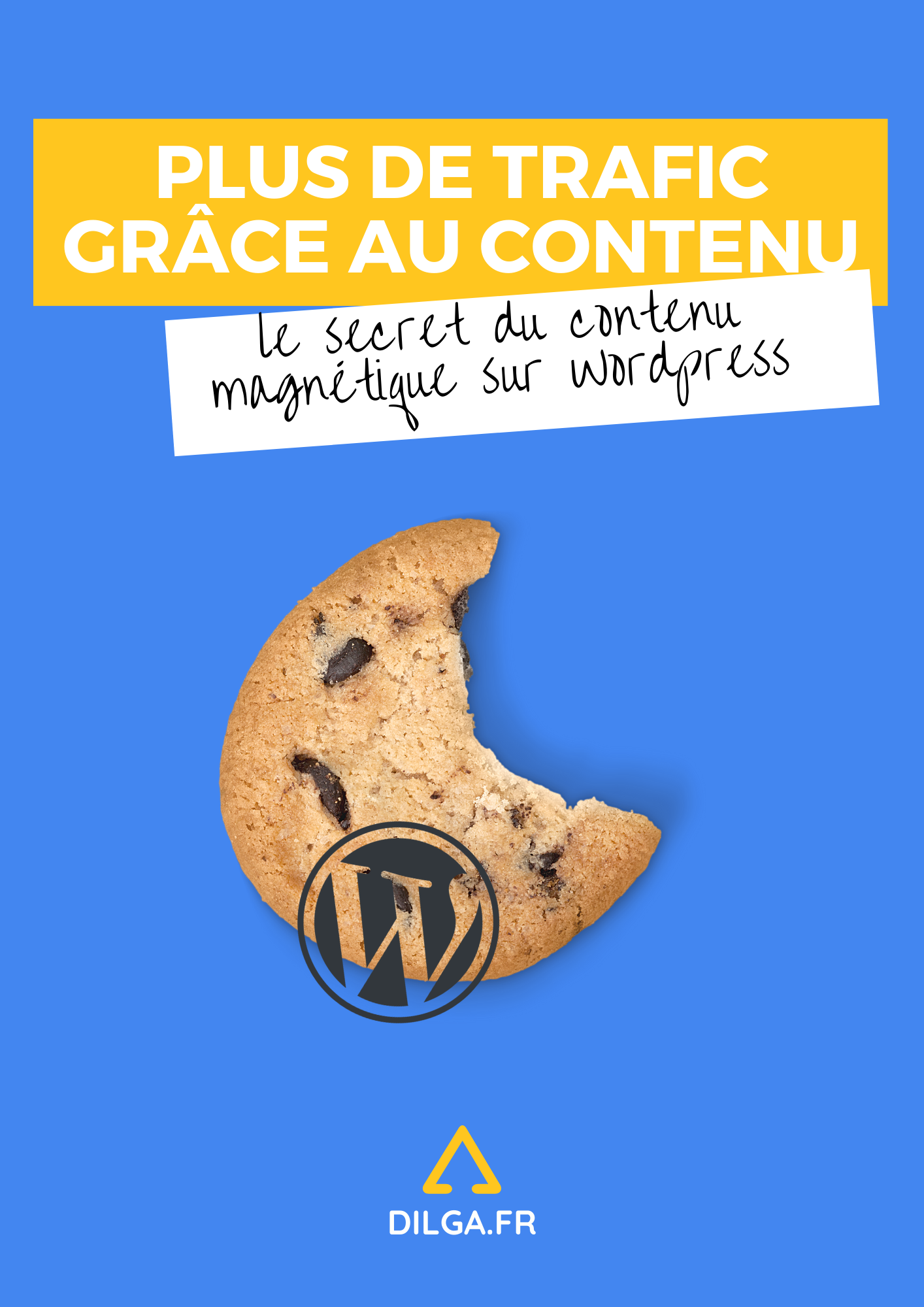 Contenu SEO sur WordPress